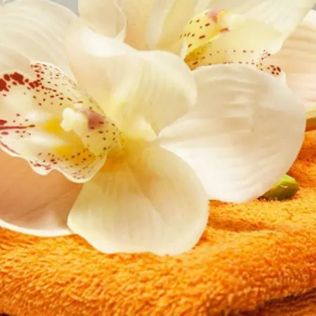 La Dimora Dei Filosofi Bed & Breakfast